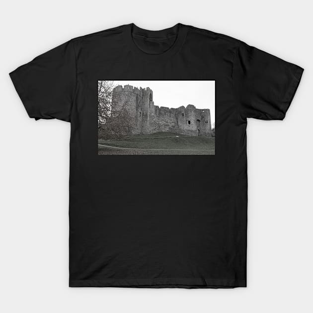 Chepstow Castle, Wales T-Shirt by Graz-Photos